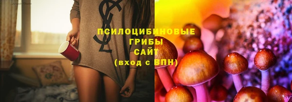 дурь Кулебаки